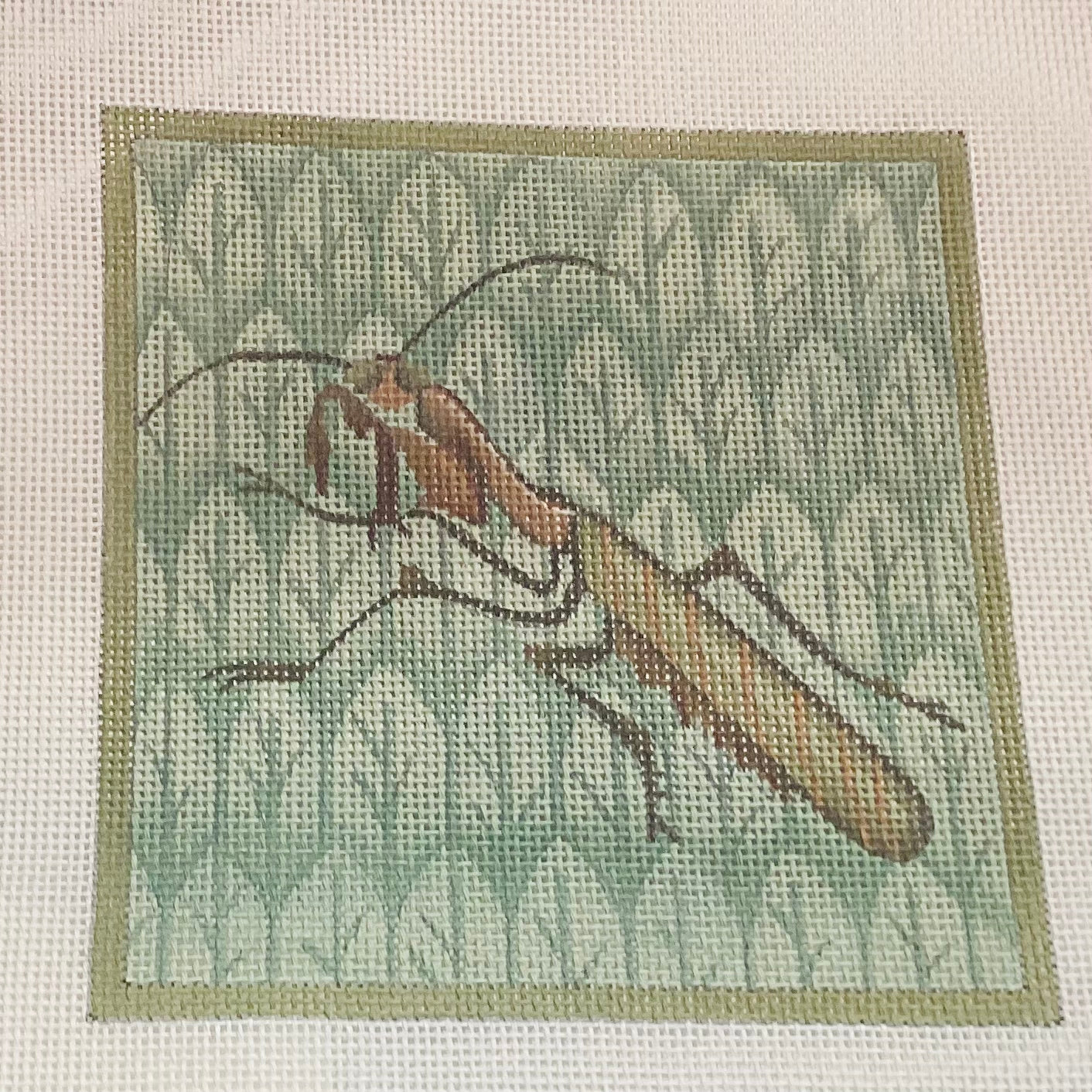 grasshopper ms351-c