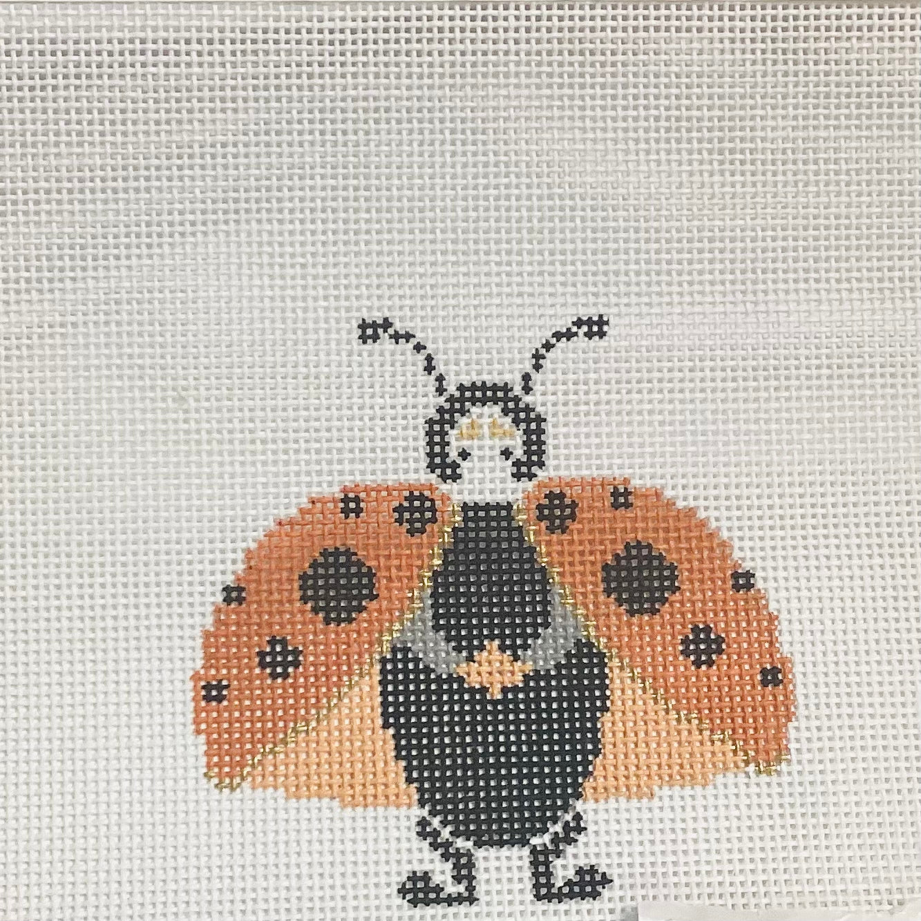 Lady bug