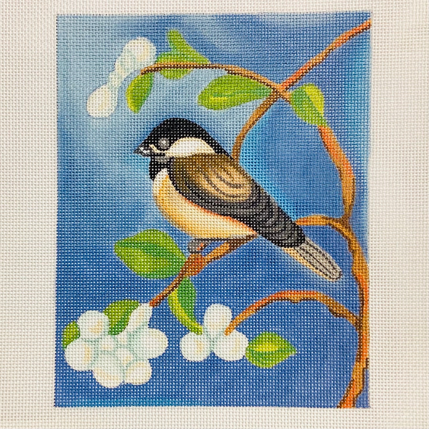 Chickadees in Spring
