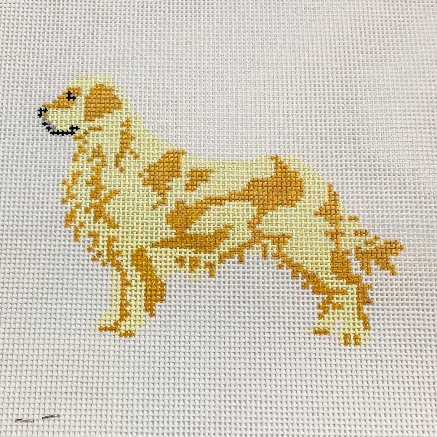 PR Golden Retriever
