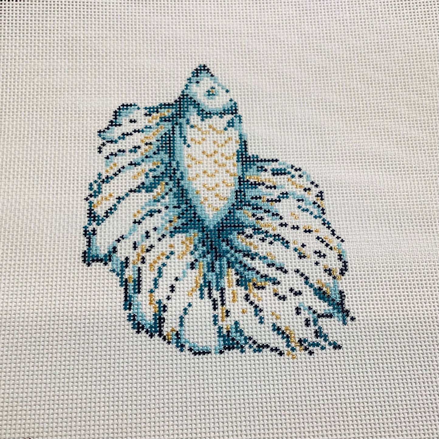 Betta Fish