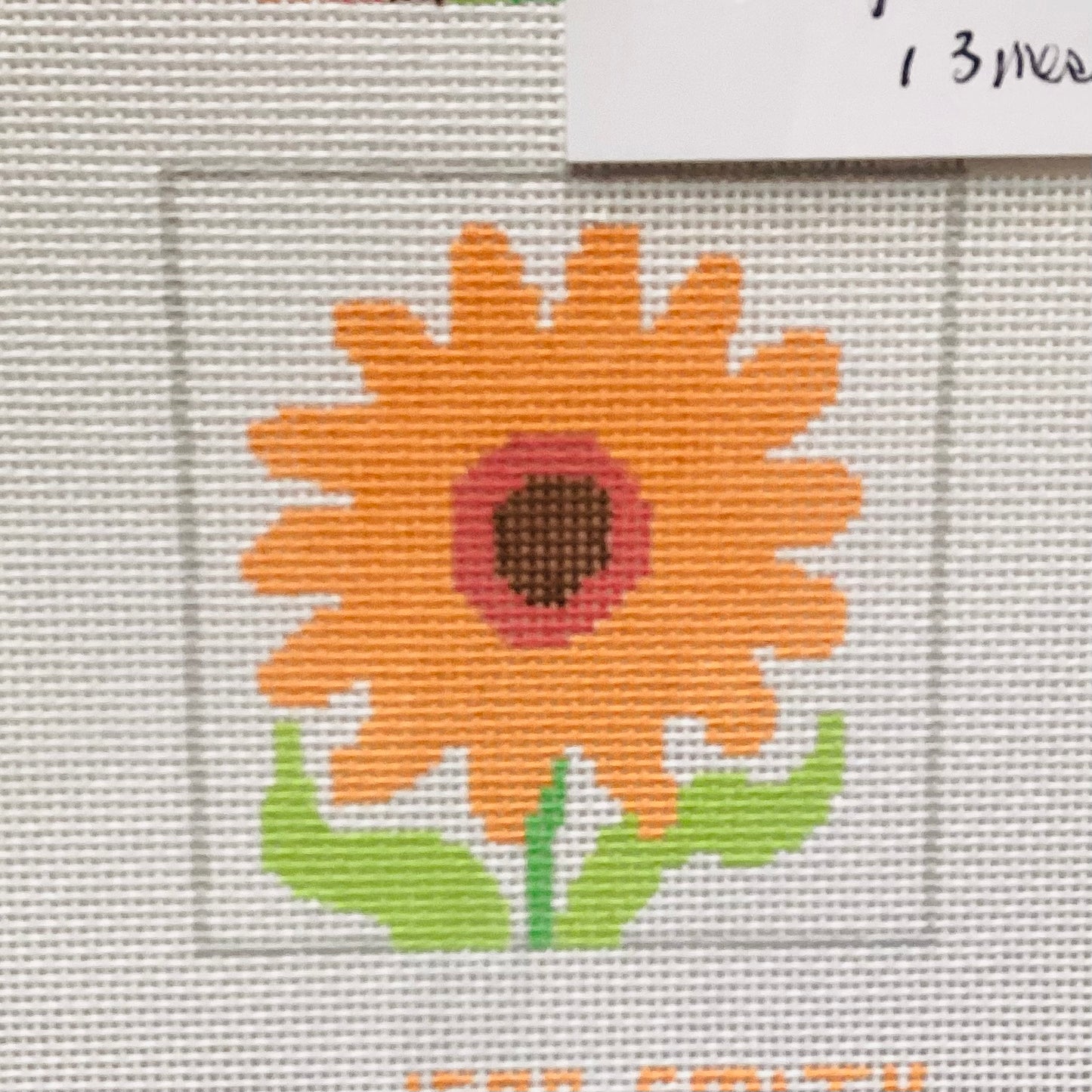 Brown Eyed Susan
