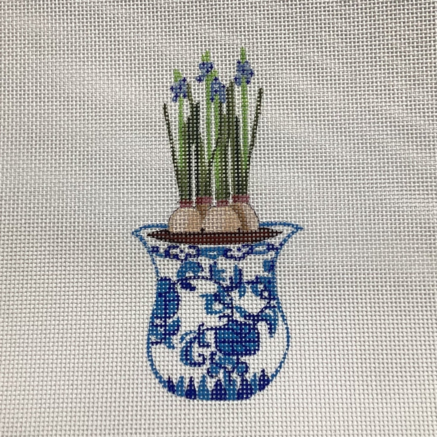 Bulbs in Vase