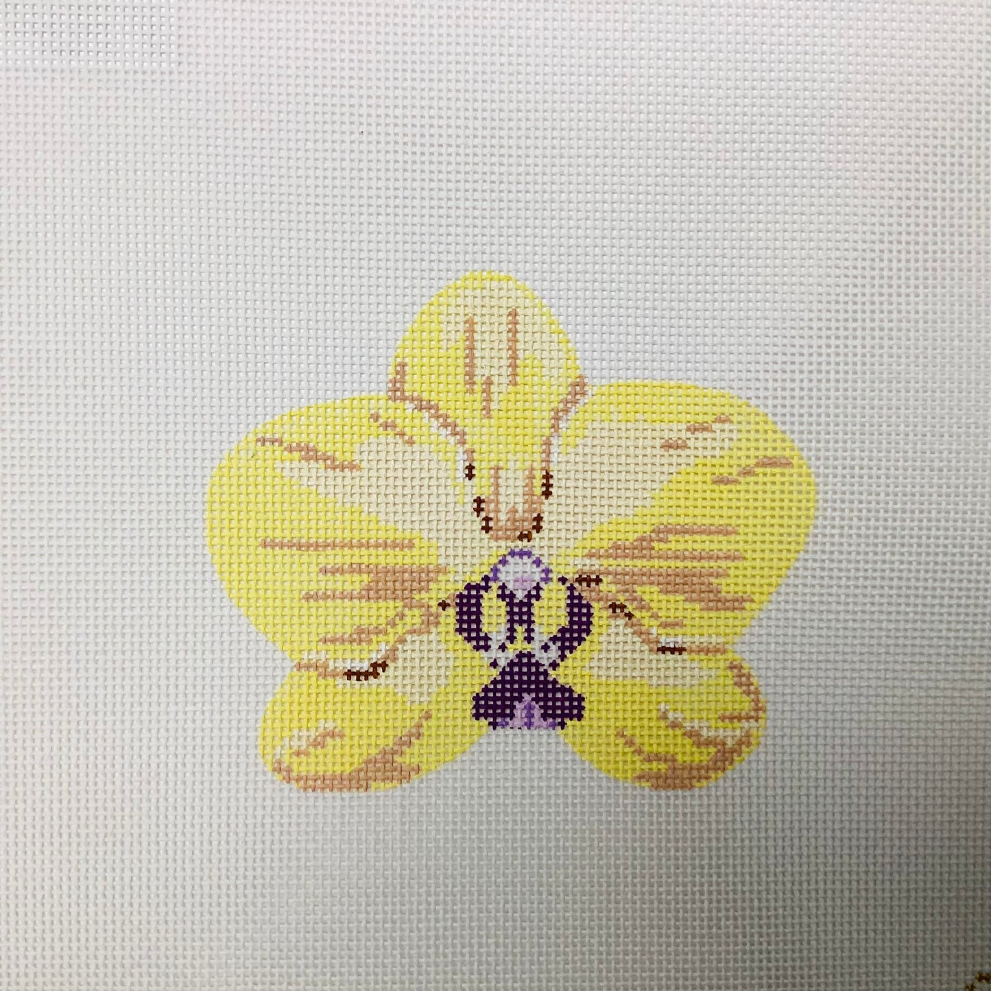 Single Yellow Orchid