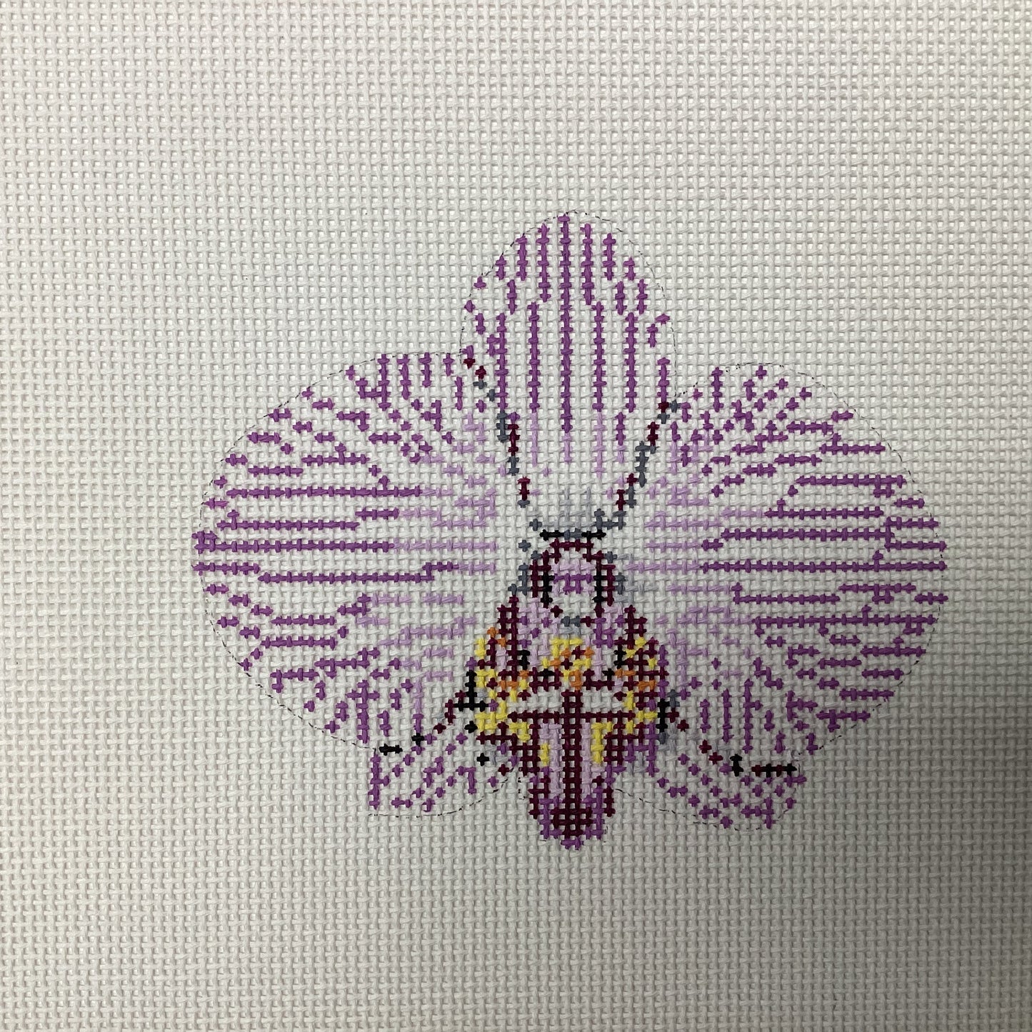 Single Purple Striped Orchid