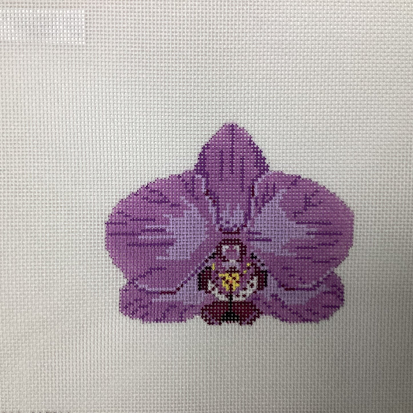 Single Purple Orchid