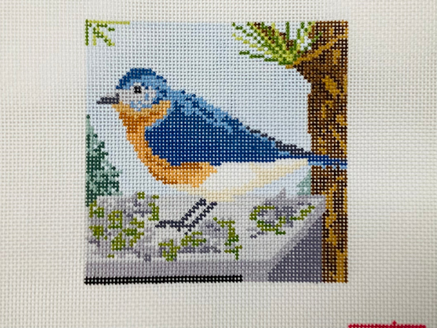 Eastern Blue Bird Coaster