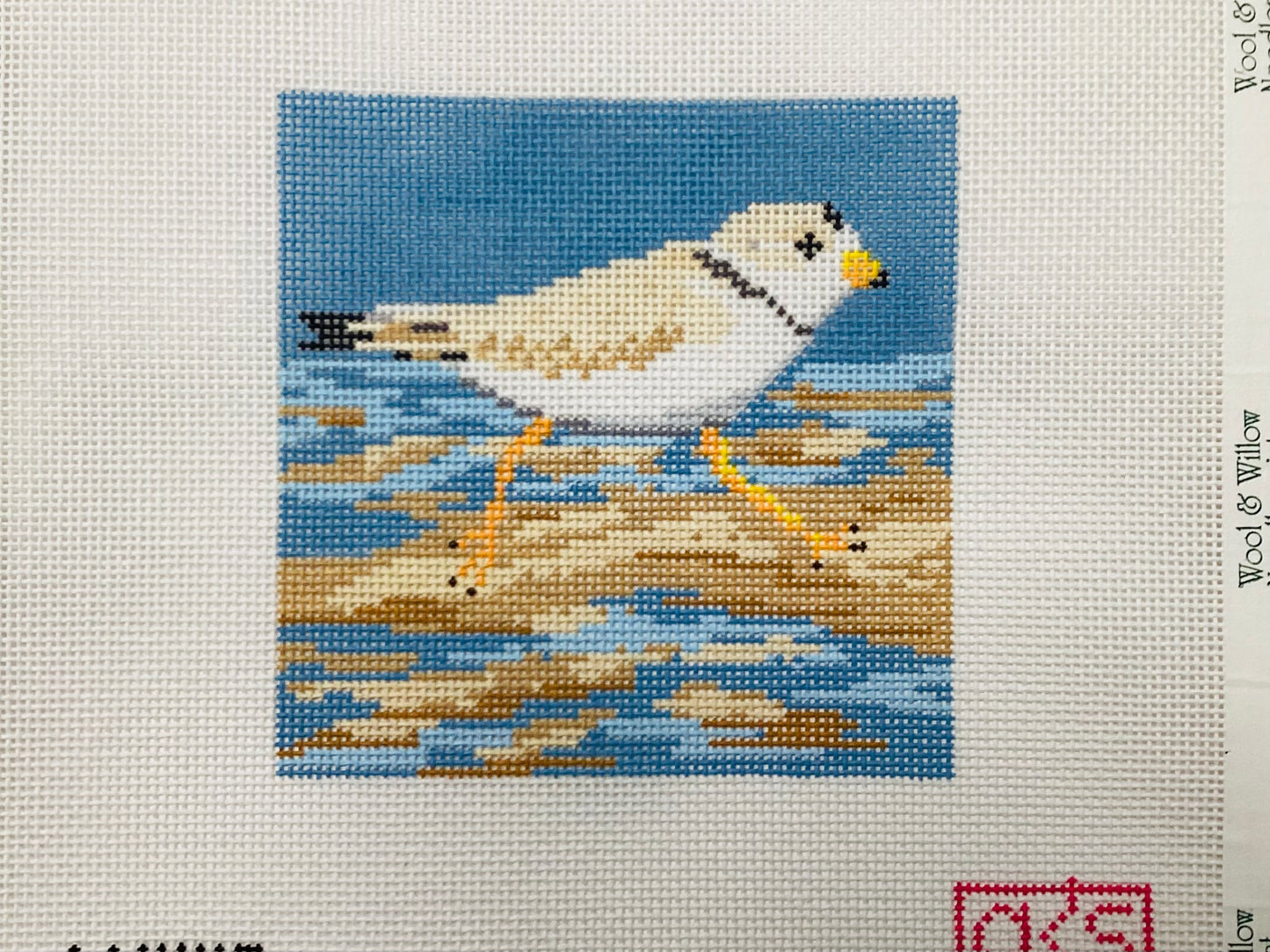 Piping Plover Coaster