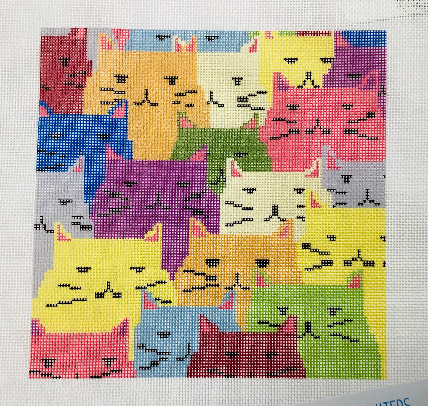 Colorful Cats