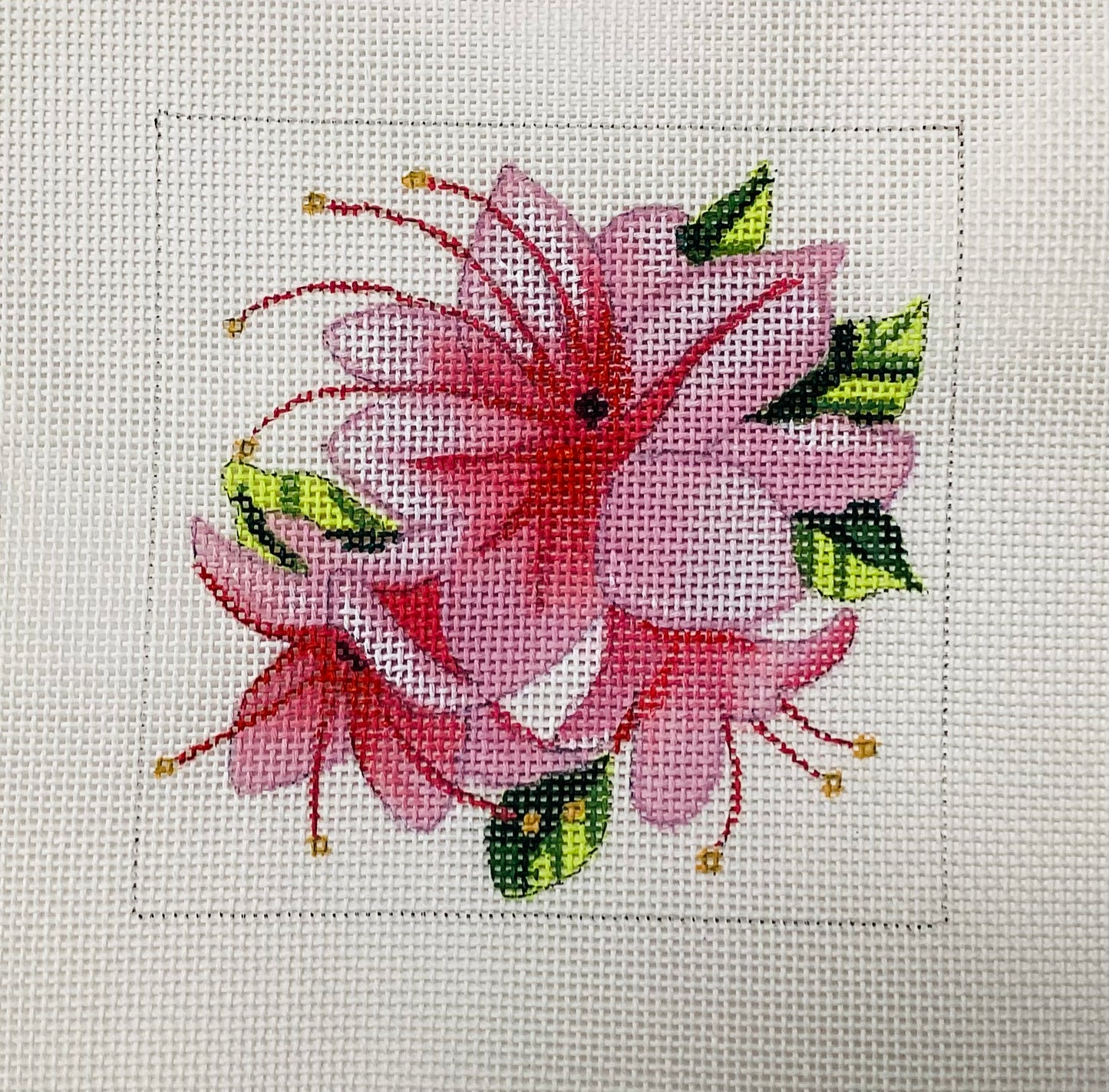 Pink Floral Lily