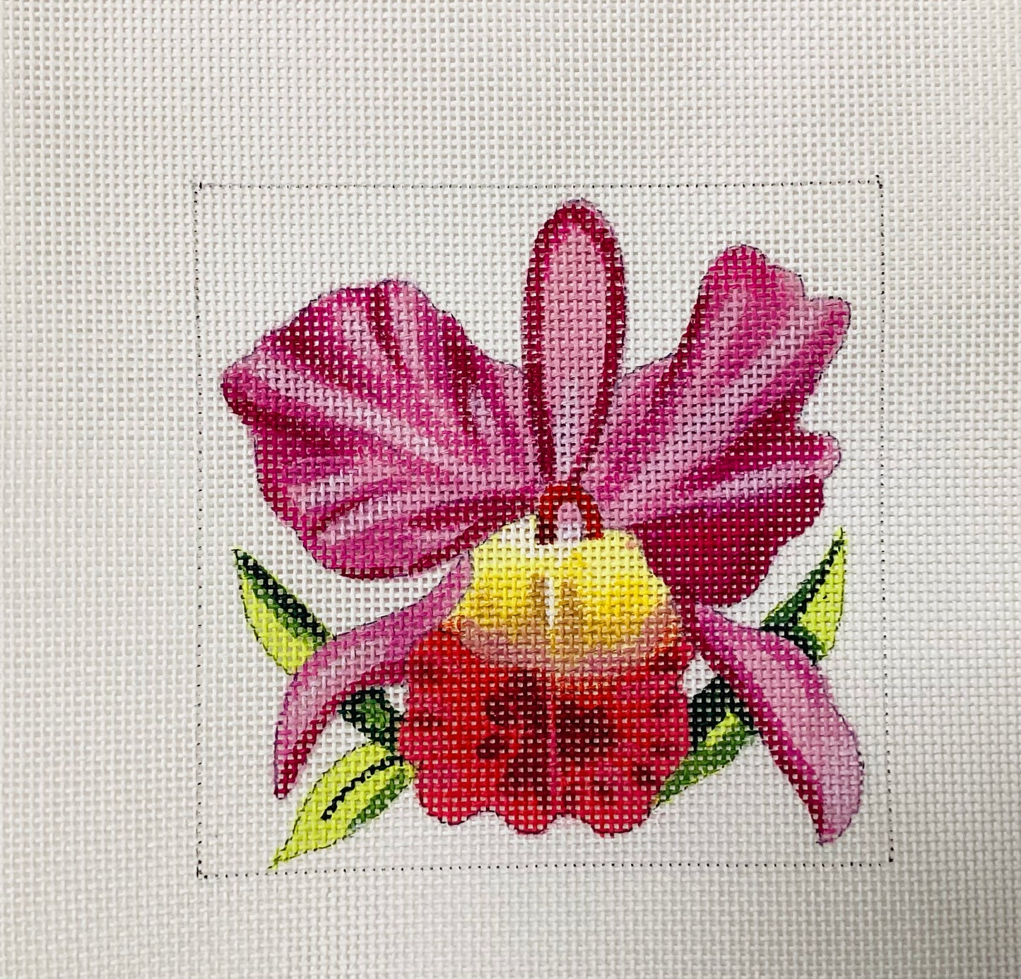Pink Floral Orchid