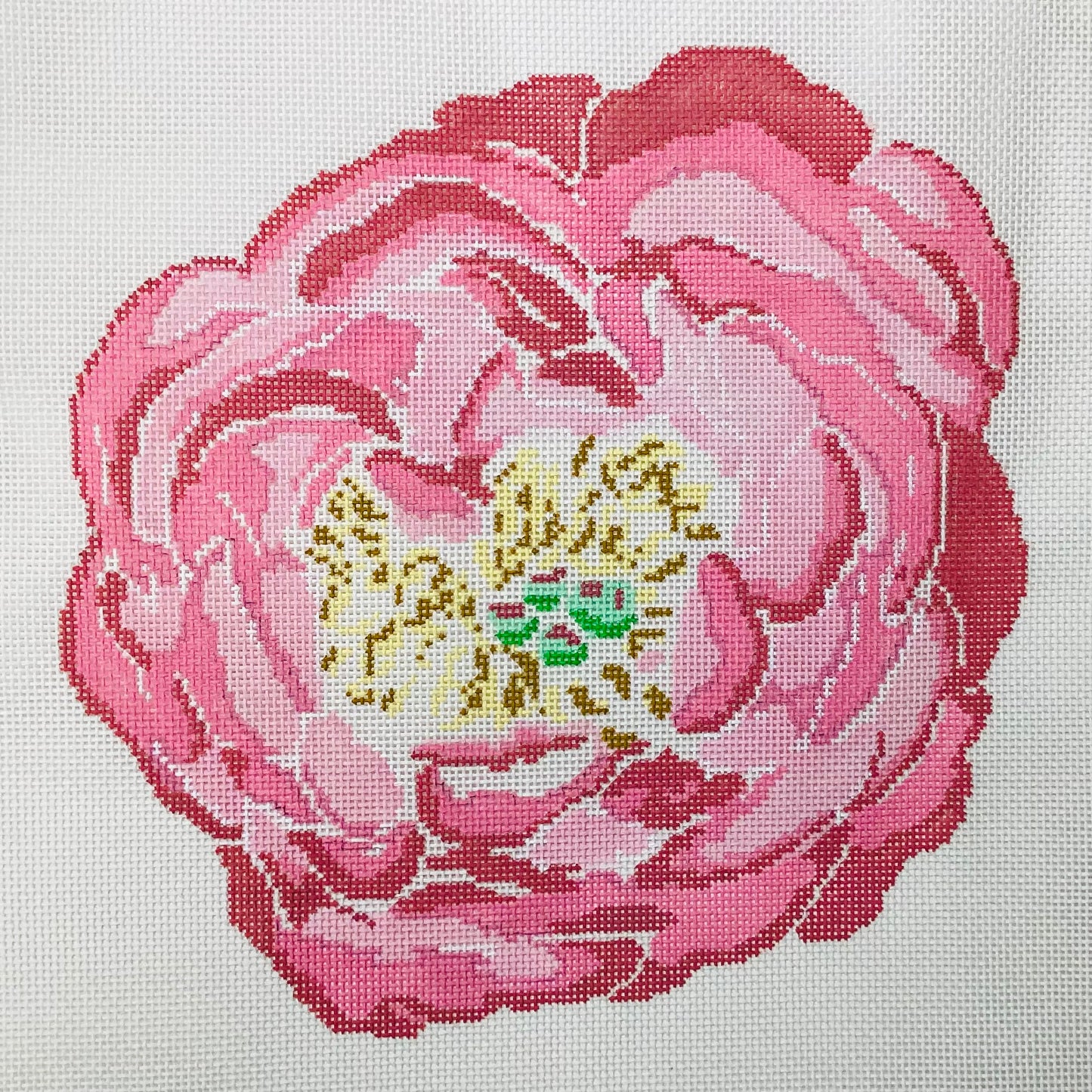 Pink Peony