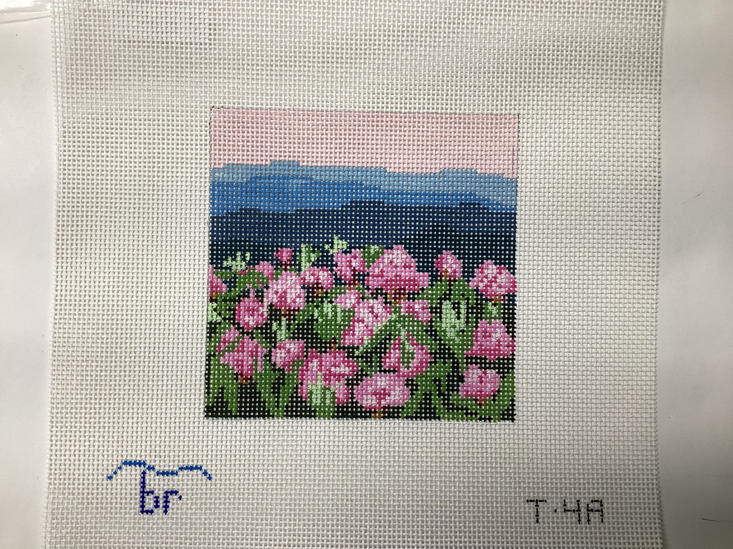 Rhododendron on Mountain (13m - Square)