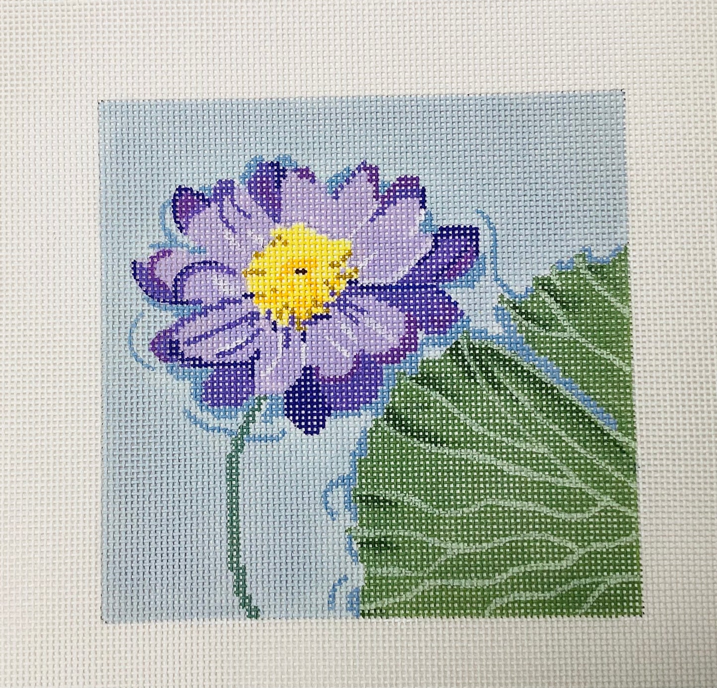 Water Lily Kew Garden