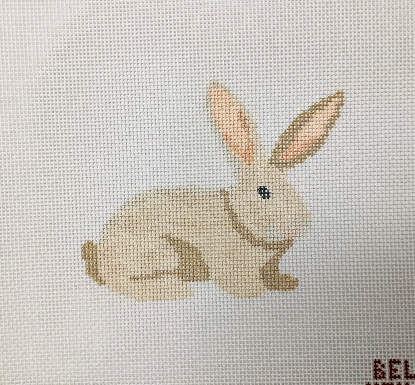 Bunny with peach lined ears