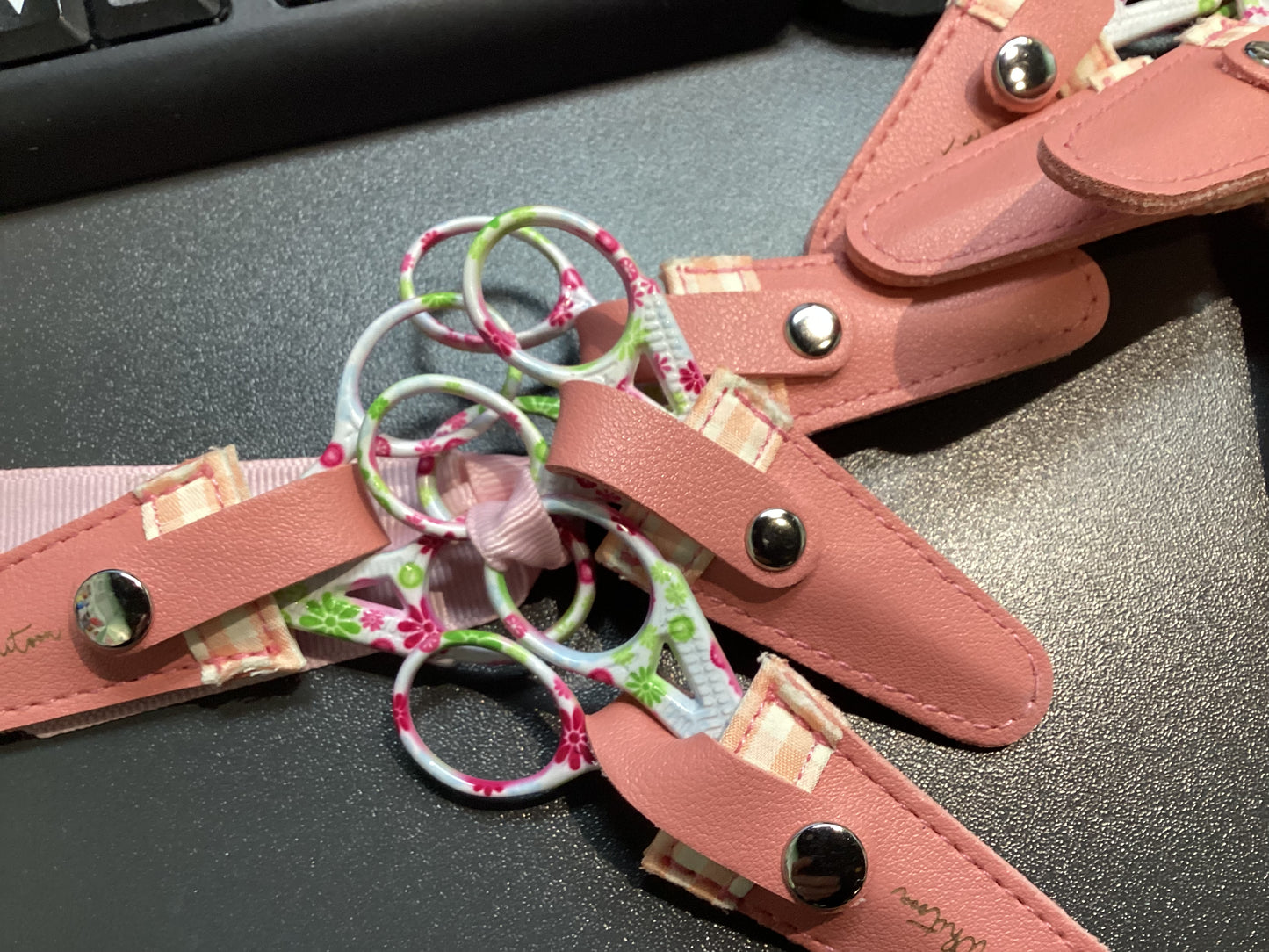 Vassarette Scissors Gingham Pink Floral
