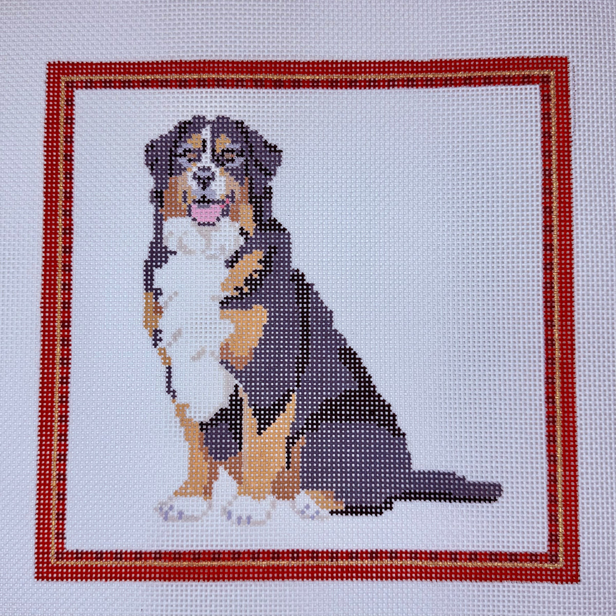 Bernese Mountain Dog