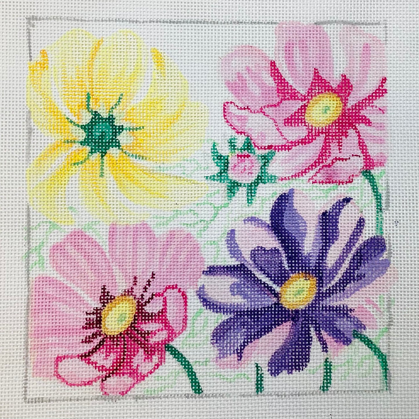 Small Cosmos 1