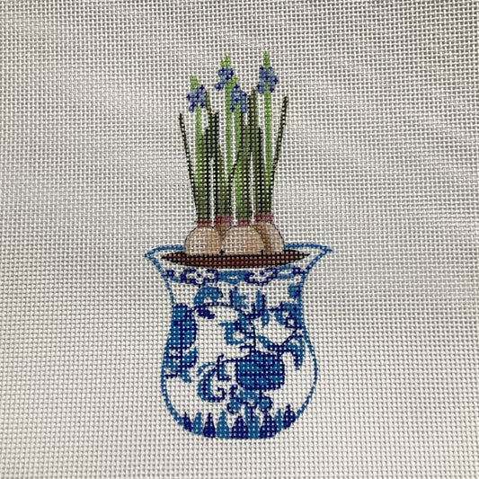 Bulbs in Vase