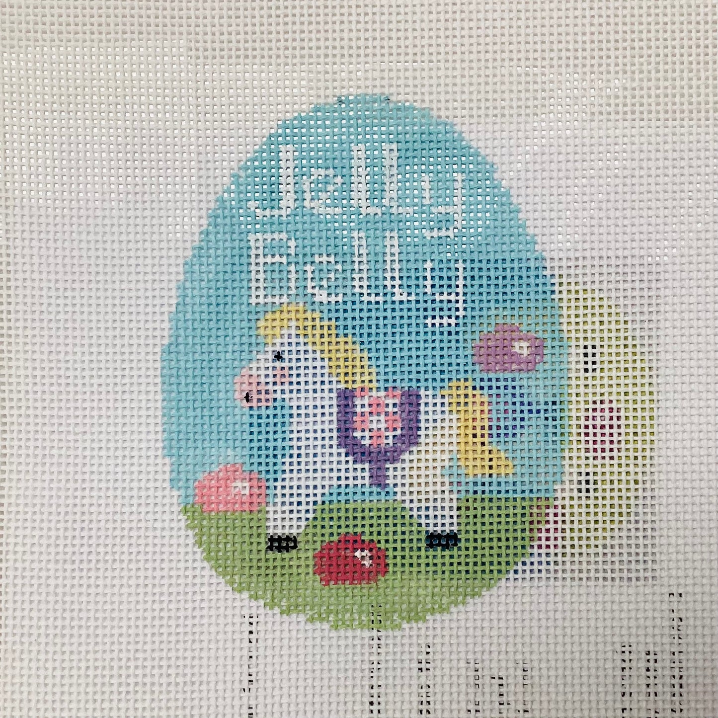 Jelly  Belly