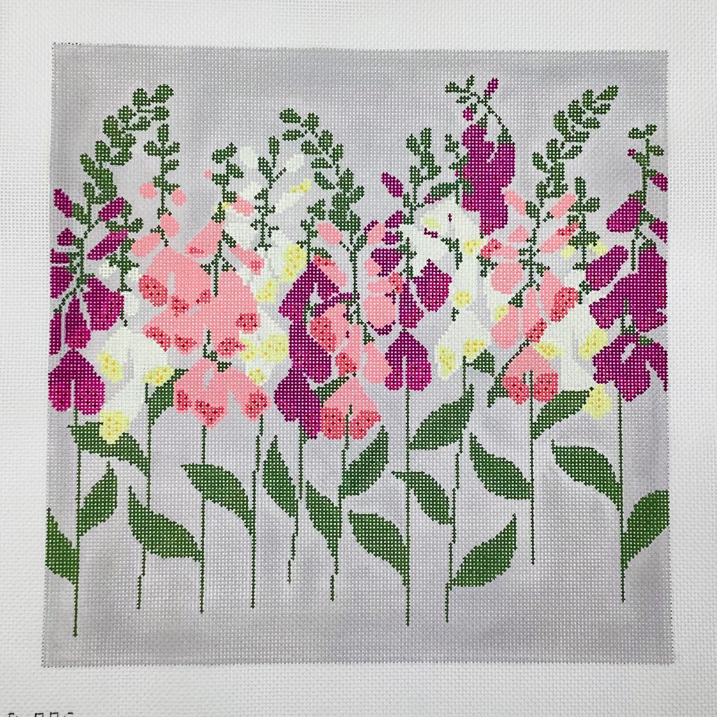 Foxgloves