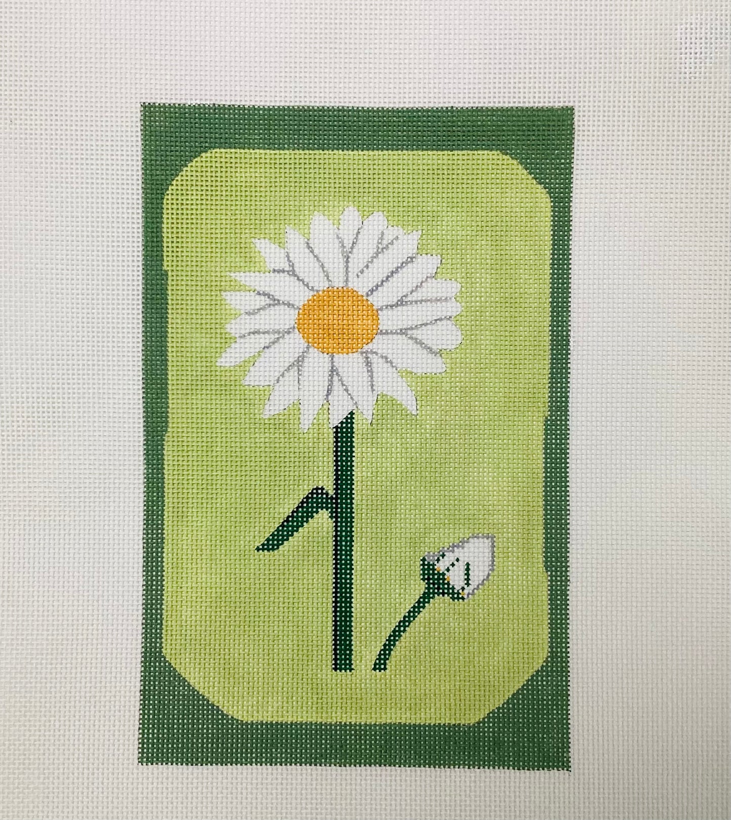 Daisies