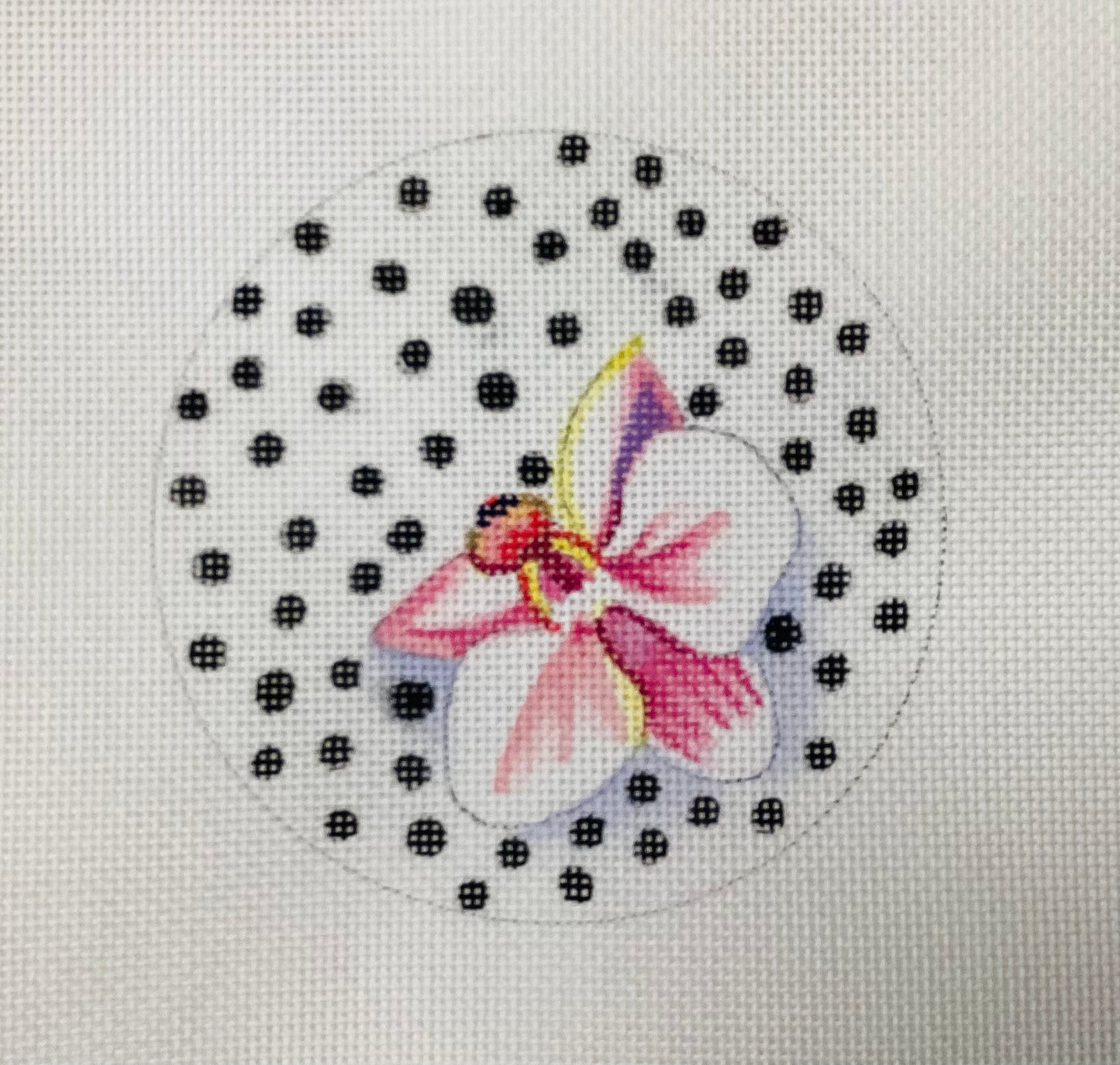 Orchid with Dotted Background