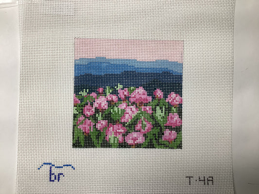 Rhododendron on Mountain (13m - Square)