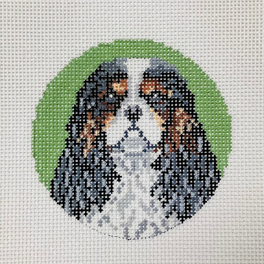 Cavalier King Charles