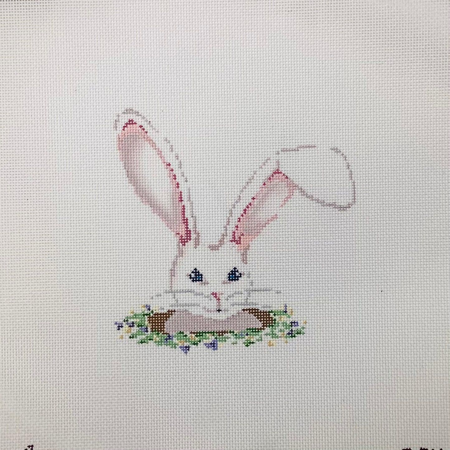 Rabbit Hole