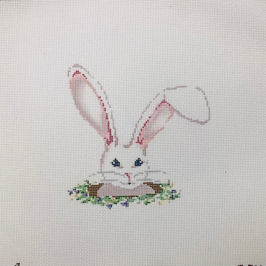 Rabbit Hole