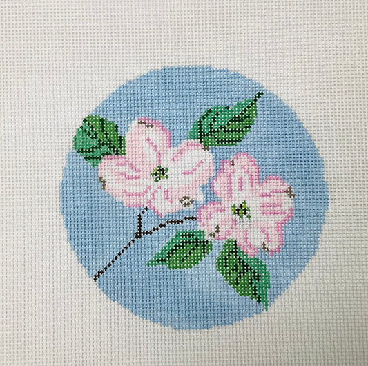 Dogwood Blossom Seasons Spring