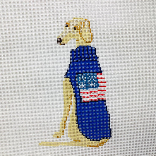 Greyhound with sweater