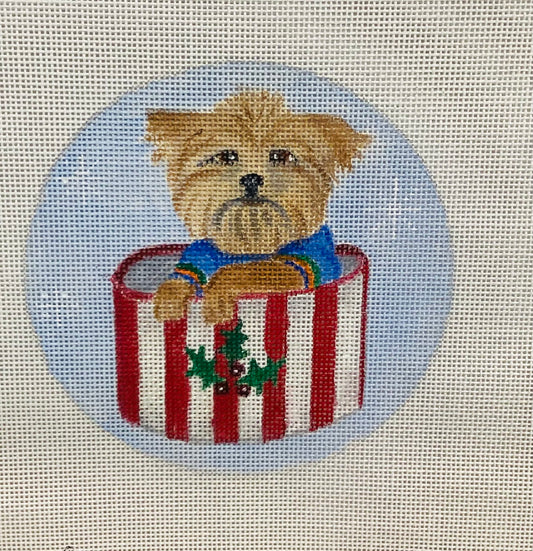 Dog in Christmas Box