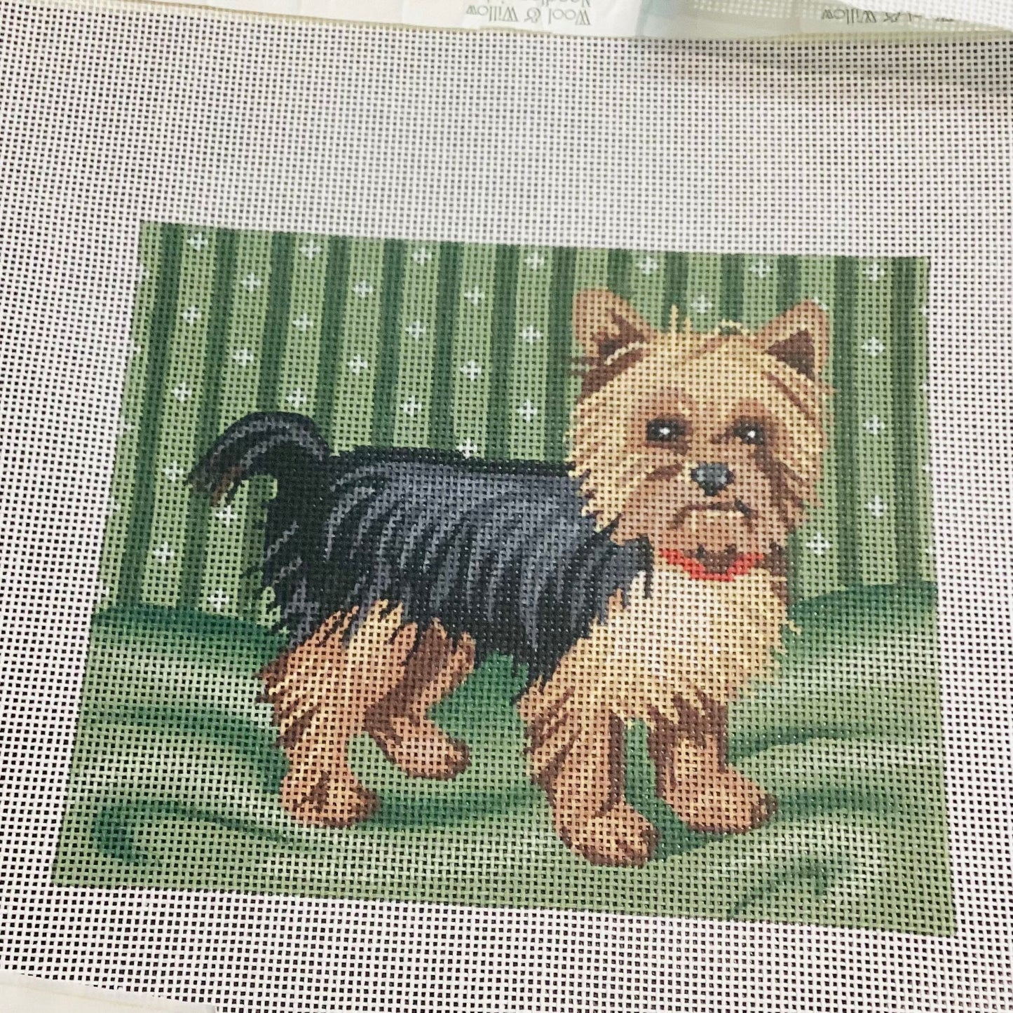 Yorkie