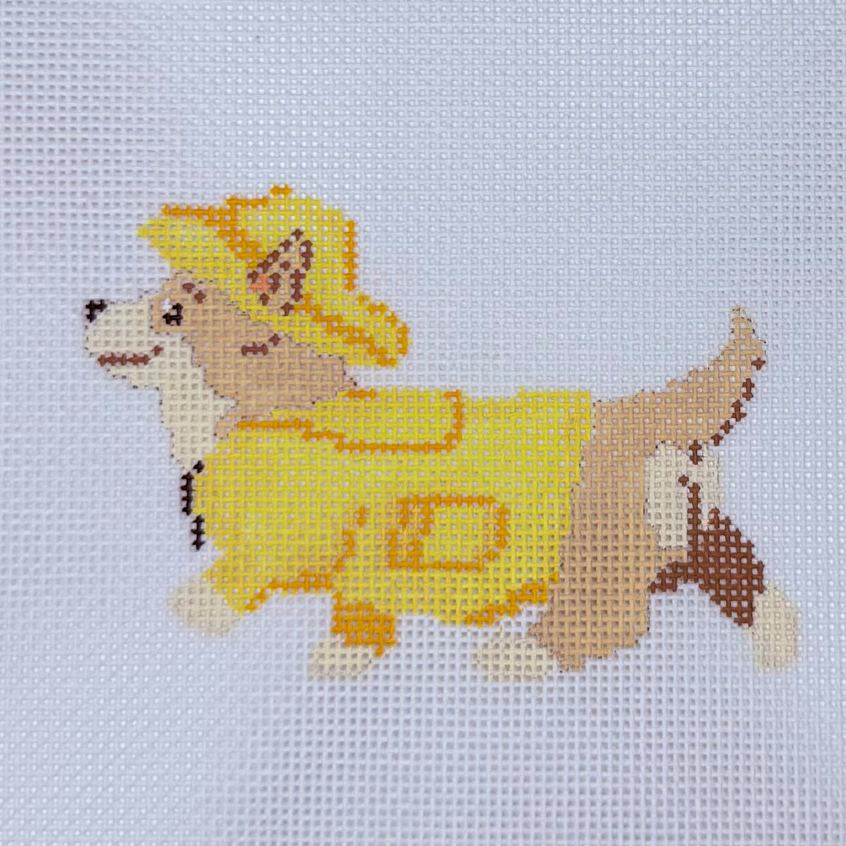Corgi in a Raincoat