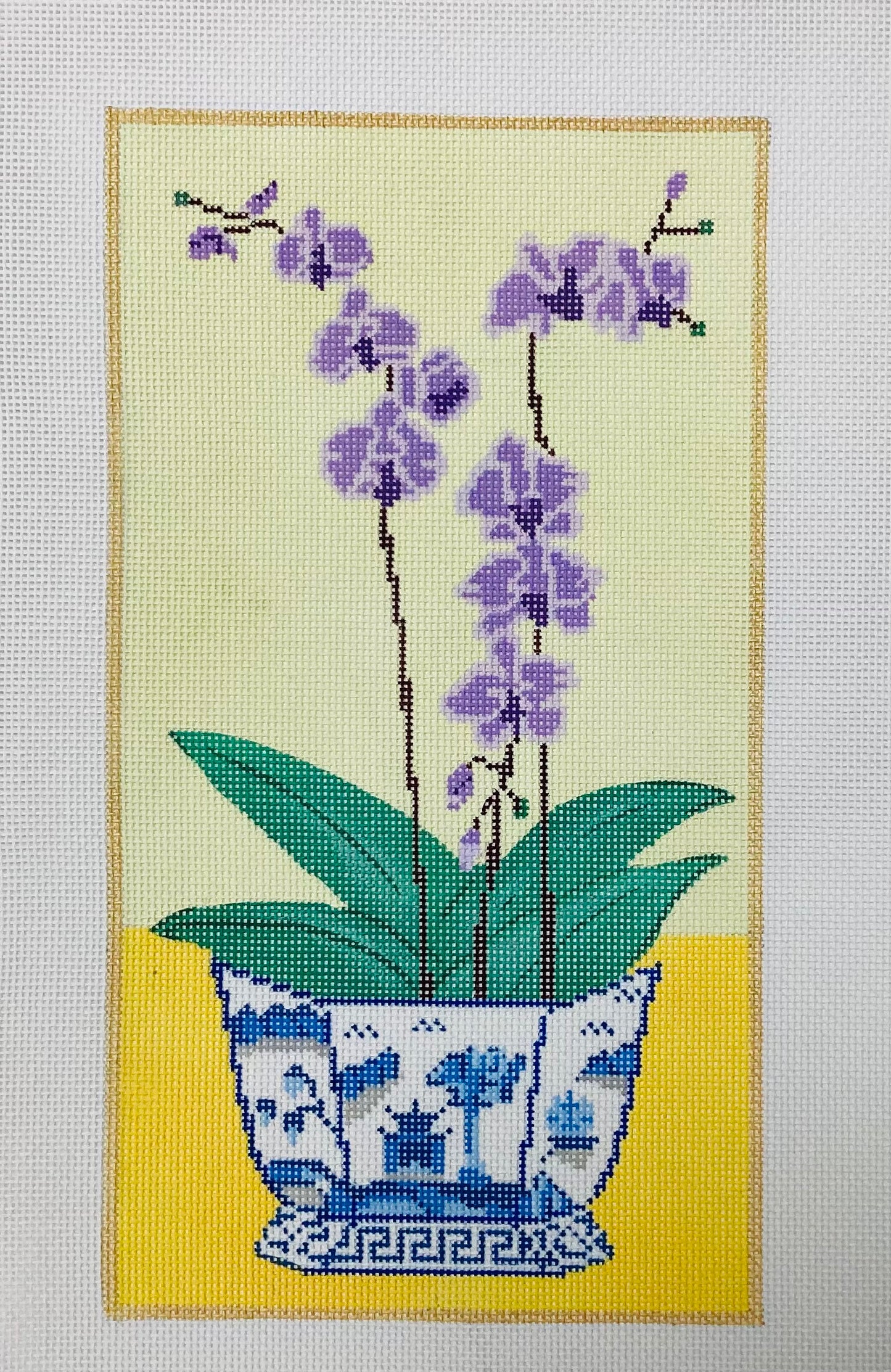 Orchids in Blue and White Pot